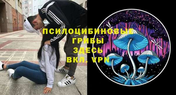 mdpv Кодинск