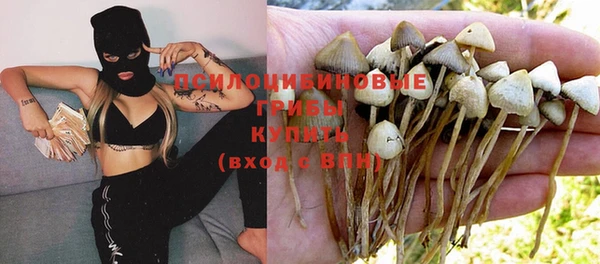 мяу мяу мука Алзамай